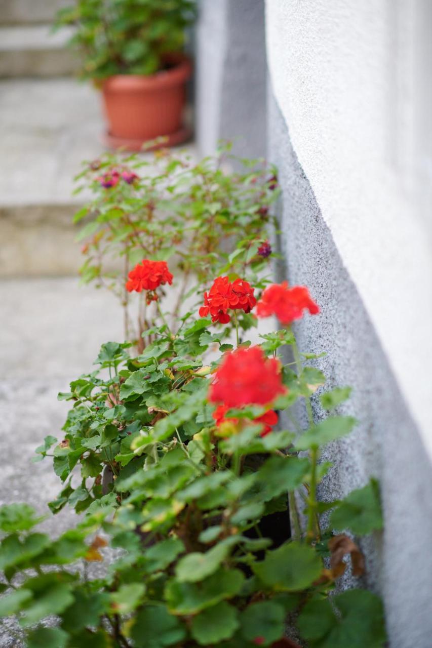 Lovely House Apartment Σαράγεβο Εξωτερικό φωτογραφία