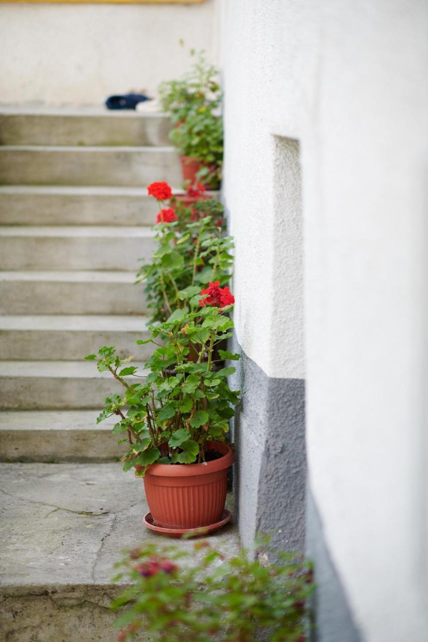 Lovely House Apartment Σαράγεβο Εξωτερικό φωτογραφία